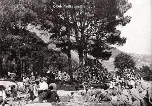 Oran- SDV- 7211
